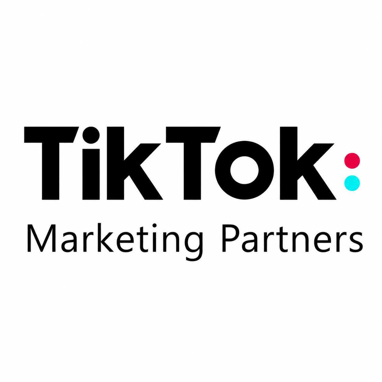 TikTok Marketing Partner